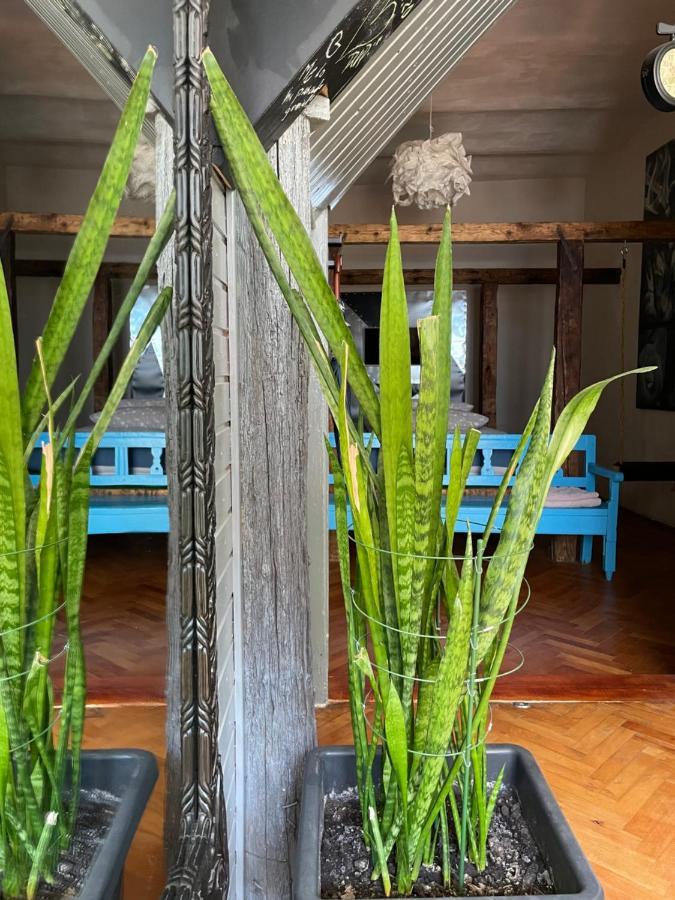 Apartamente A La Cluj Екстер'єр фото